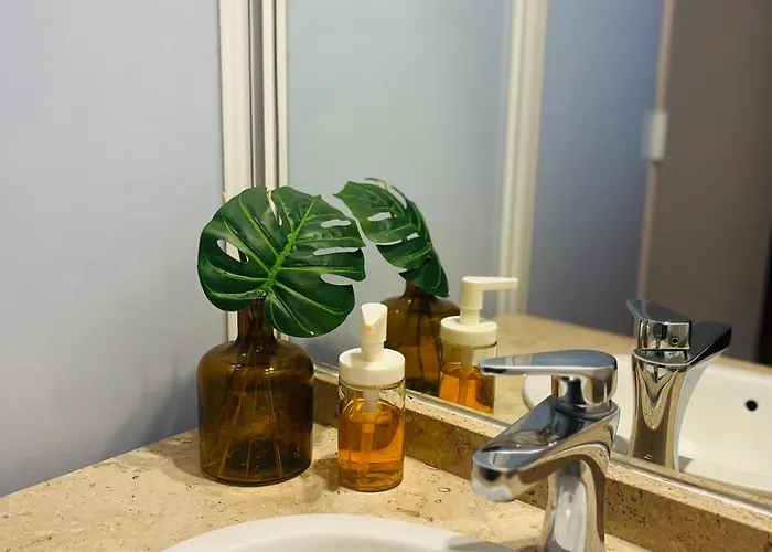 Spacious&bright Apartamento México DF